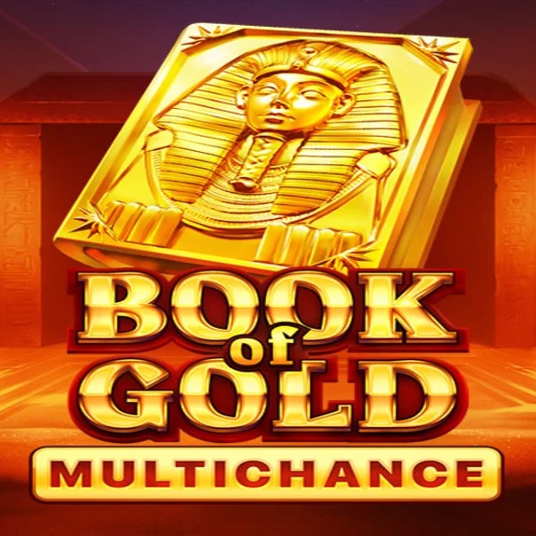 Slots logo of Book of Gold Multichance from Playson at Casino Infinity