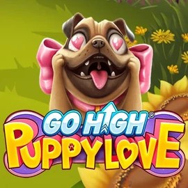Go High Puppy Love game by RubyPlay – logo hosted on Casino Infinity